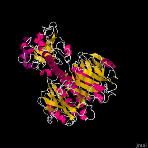 3D image of the Cholera Toxin, which is released by Vibrio cholerea. Subsequent ingestion of the toxin leads to the Cholera disease.