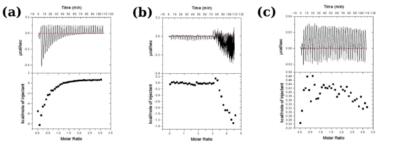 Image:Figure3 proteopedia.png