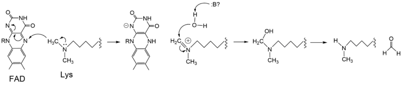 Image:LSD 1 Chemdraw Mech.png