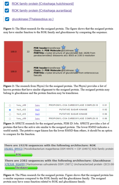 Image:Protein funtion of 3r8e.PNG