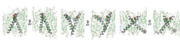 Conformational analysis of HER2 TMD mutants. Overview of the final state obtained at the end of a 100 ns simulation of the WT HER2 TMD dimer (left), a heterodimer between a WT TMD and an activating C-terminal R678Q TMD mutant (WT/R678Q) (middle) and a homodimer of the activating N-terminal G660D TMD mutant (G660D/G660D) (right).