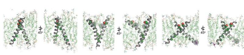 Image:Dg sb Figure4.png