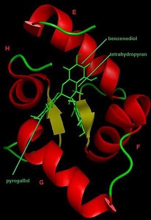 Figure 1: EGCg-TnC complex