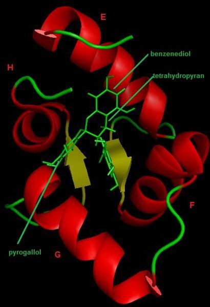 Image:EGC-TnC2.jpg