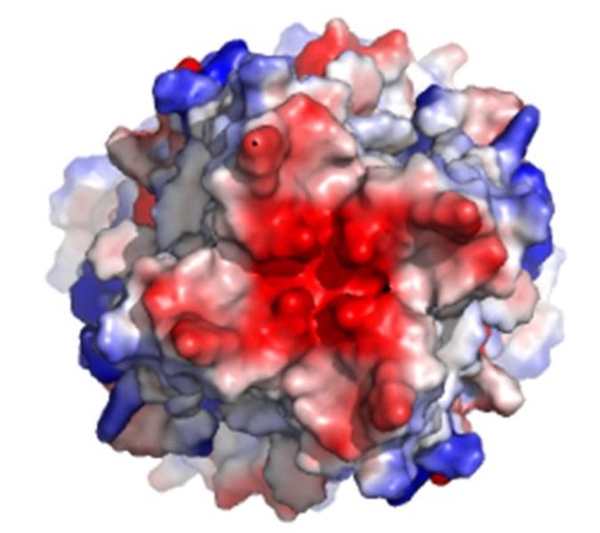 Image:Electronegativity MCU 4.jpg