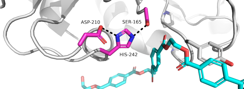 Image:4EB0 Catalytic Triad.png