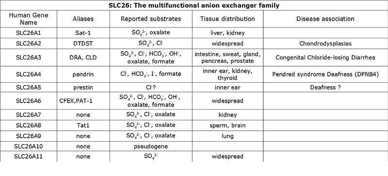 Image:Table slc.jpg