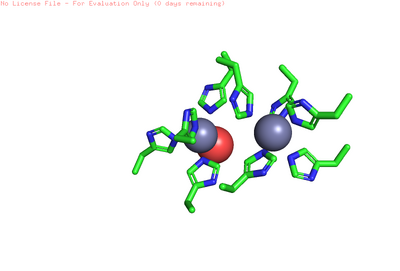 Histidine Motifs in the Active Site