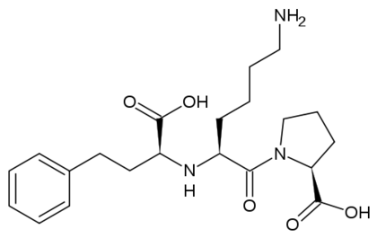 The ACE Inhibitor, Lisinopril