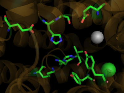 Human PPARγ Ligand Binding Site with Rosiglitazone Bound. 2prg