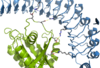 Figure 1. The coolest image of this protein ever!!!