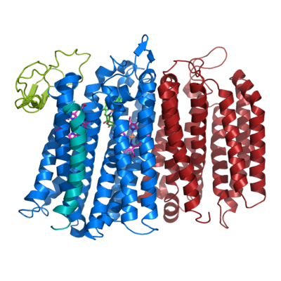 Figure 1. The coolest image of this protein!!!