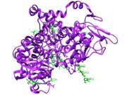 Figure 1: Ligands (green) bound to COX-2. Image taken in Chimera from PDB file 5KIR.