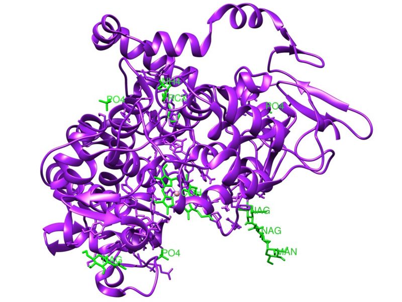 Image:Heteroatoms of COX2.jpg