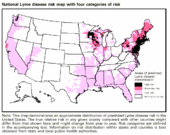 Map illustrating prevalence of Lyme disease in the Untied States by CDC.[1]
