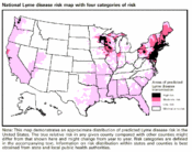 Map illustrating prevalence of Lyme disease in the Untied States by CDC.[1]