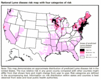 Map illustrating prevalence of Lyme disease in the Untied States by CDC.[1]