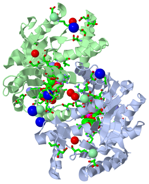 Image:1gt2.png