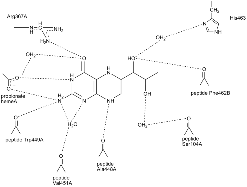 Image:H4b hydrogenbindinger2.png