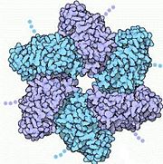 2D Structure of LTag