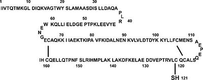 Figure 1. Primary structure of β-LG. β-Lactoglobulin comprises 162 AA, including 5 Cys residues. Two disulfide linkages are located at residues Cys-106 to Cys-119 and Cys-66 to Cys-160. One free Cys is at position 121.(Taken from Liu, et al. 2007)