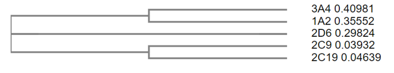 Image:Phylogeny tree.png