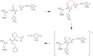 Figure #. Active site mechanism