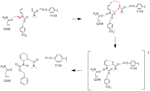 Figure #. Active site mechanism