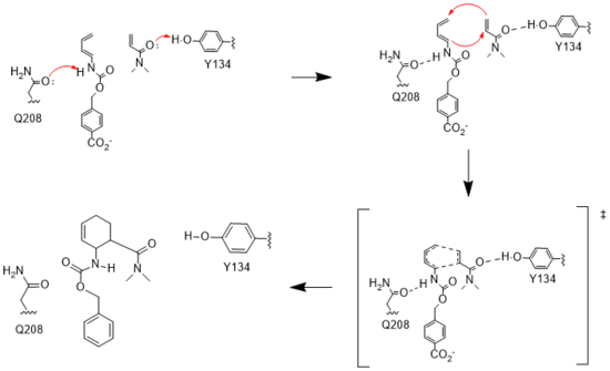 Figure 3. Active site mechanism