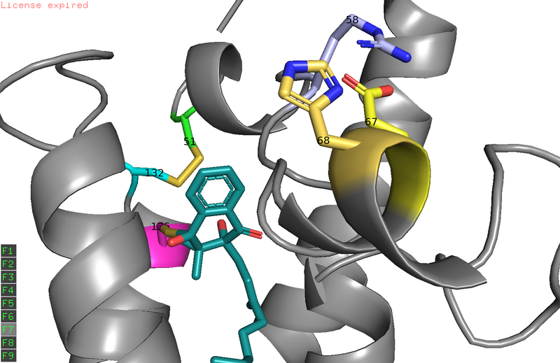 Image:Vko in binding site.png