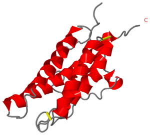 Erythropoeitin