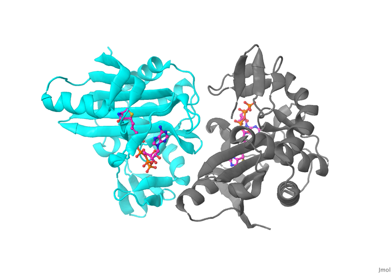 Image:012 Fig 2a new.png