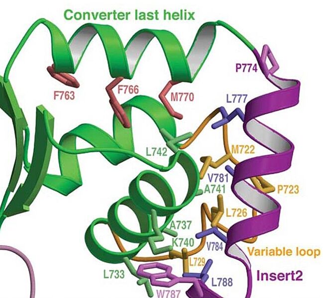 Image:Apolar interactions.jpg
