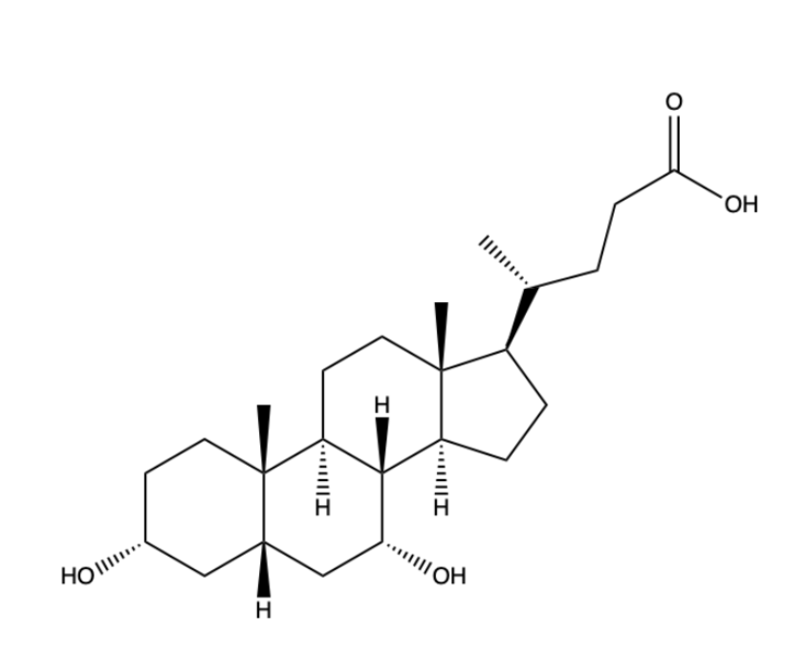 Image:Bile Salt structure.png