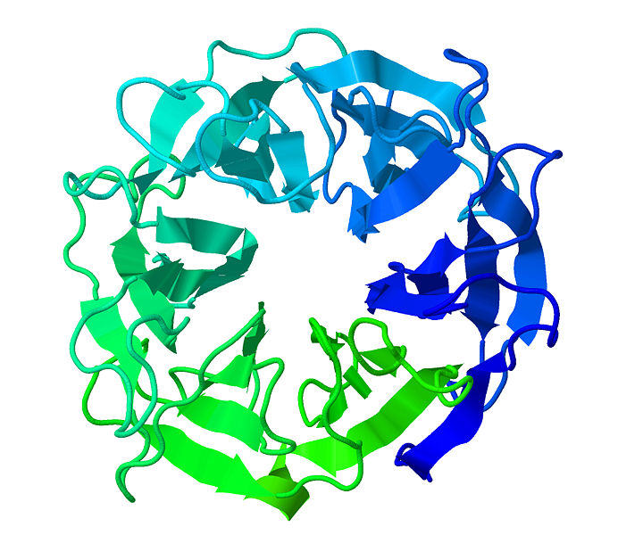 Image:Arabinanase 2d.jpg