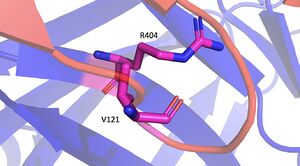 Mutation Image