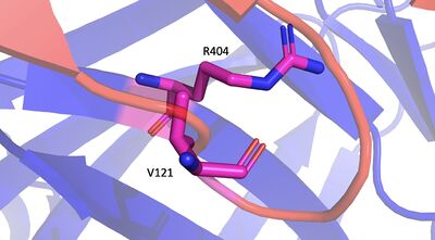 Mutation Image