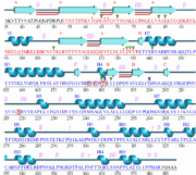 Sequence of 1j1c