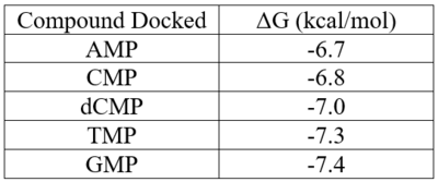 Binding affinities for compounds docked in PyRx.