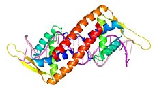 Symmetry of the RTP dimer.