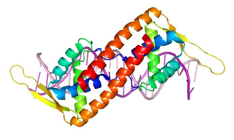Image:RTP 1 Symmetry.jpg