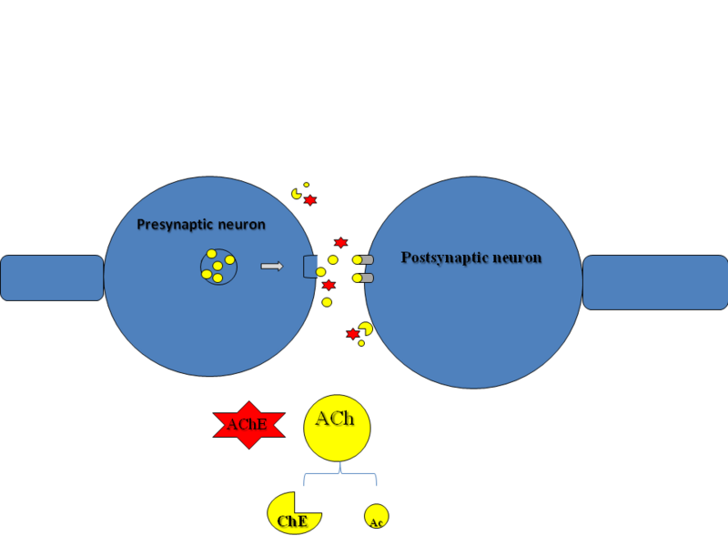 Image:Slide3.png