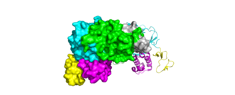 Image:ALK Conformational Change.png