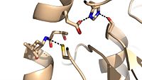 Cys209 stabilizing kinked formation of alpha-9 helix