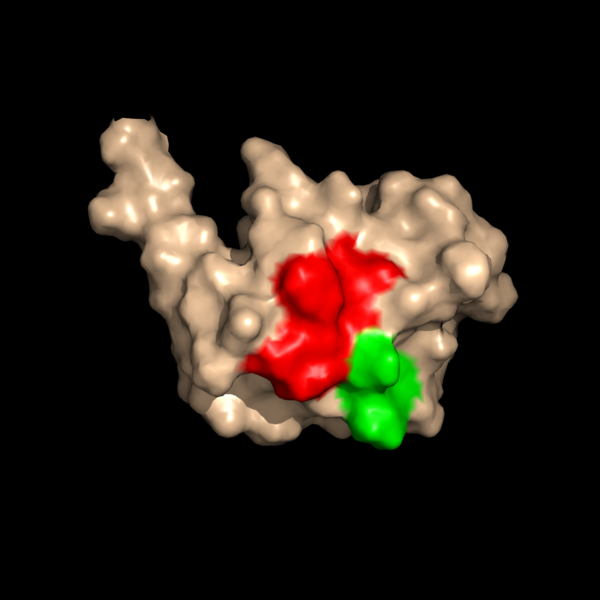 Image:Hydrophobic region 2.png