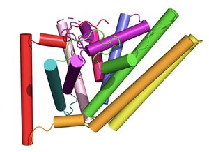 Figure #. Labeled helices within the membrane