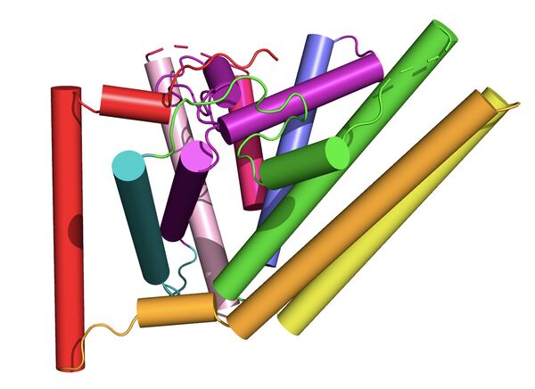 Figure #. Labeled helices within the membrane