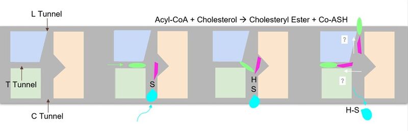 Image:Newschematic.jpg