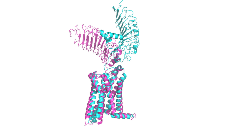 Image:ReceptorOverlay.png