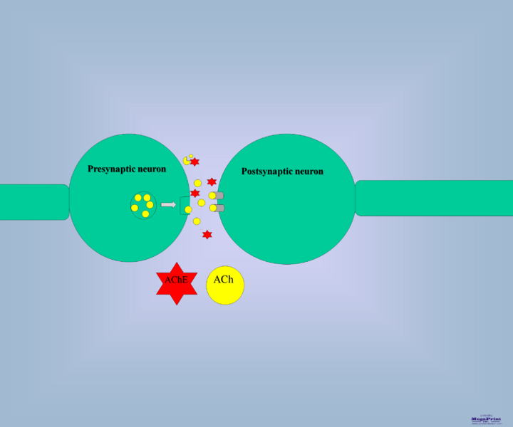 Image:Slide2.png